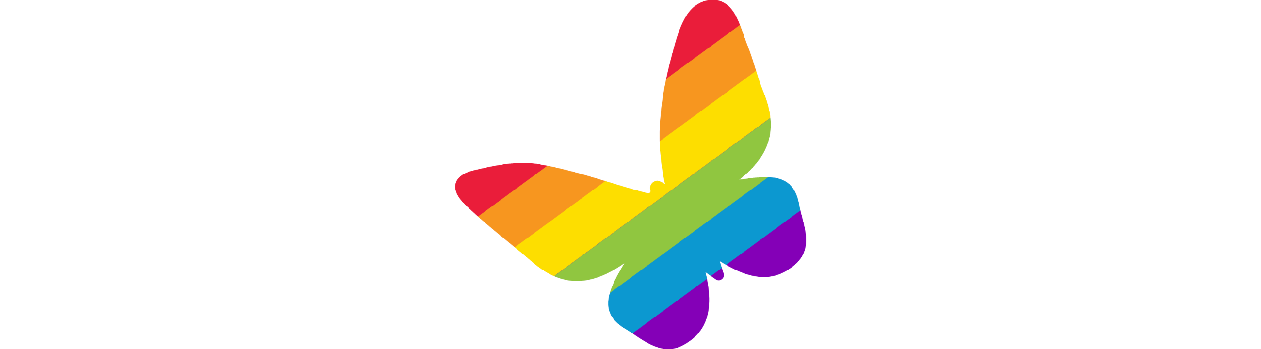 Regenbogen Schmetterling