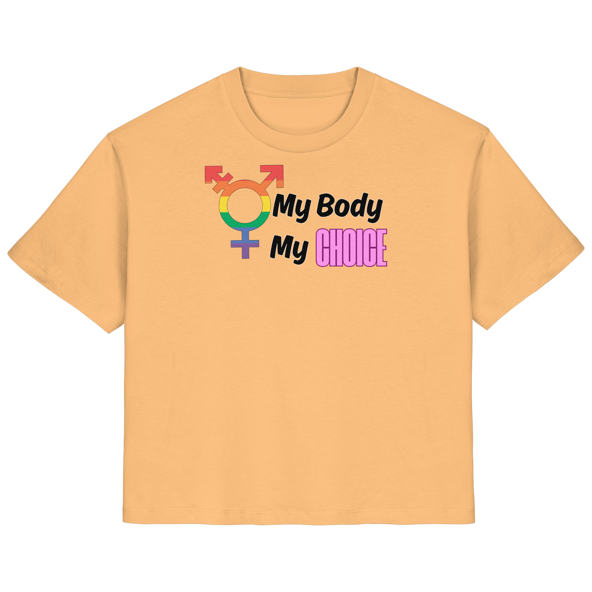 My Body My Choice "Rainbow Resistance Edition" - Ladies Organic Shirt