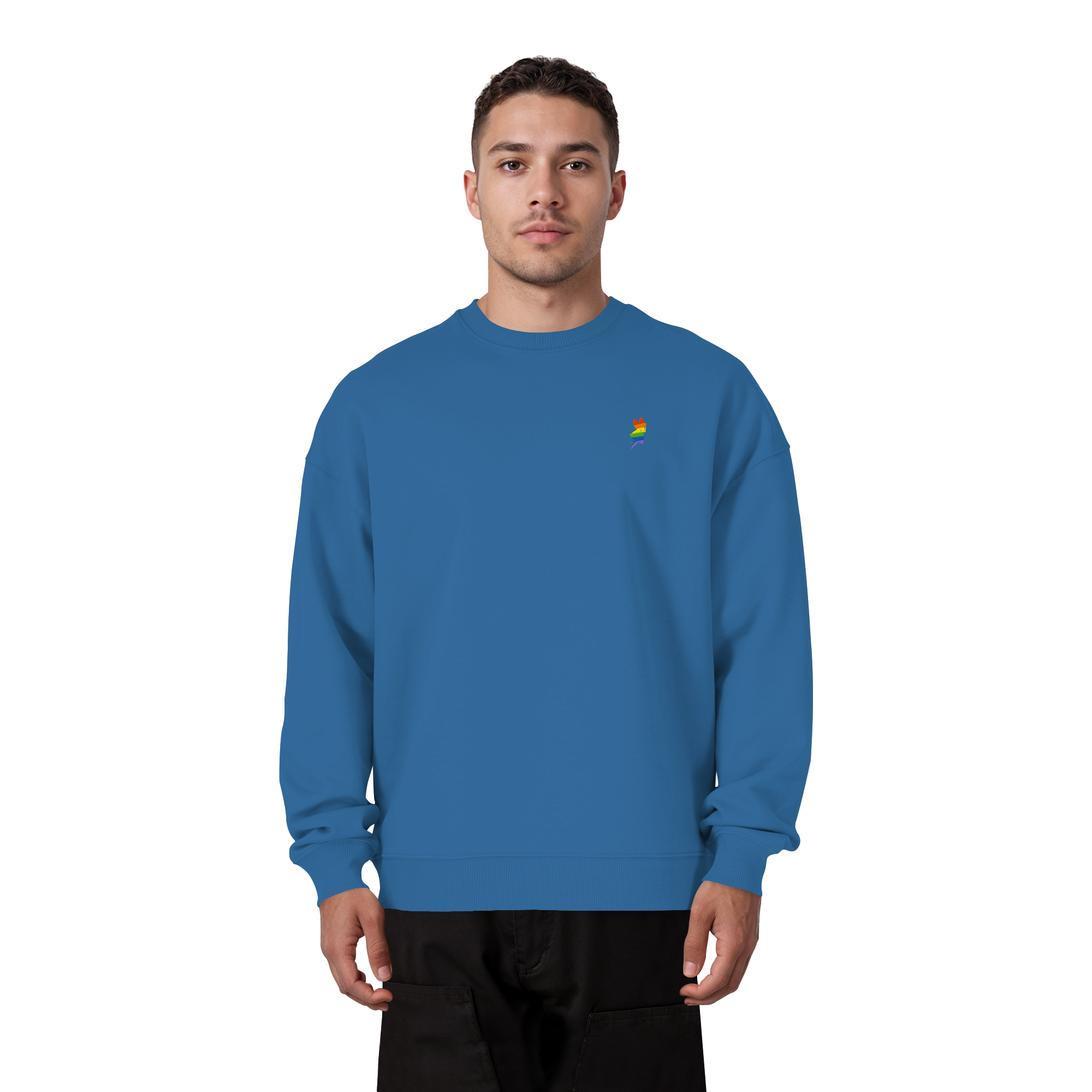 Regenbogen Fee - Organic Oversize Sweatshirt (Stick)