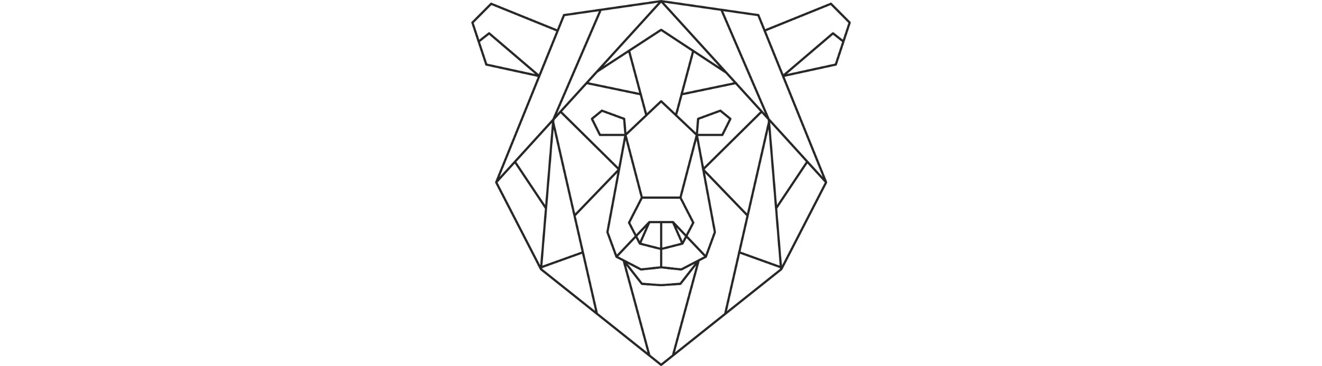 Bär Polygon Zeichnung