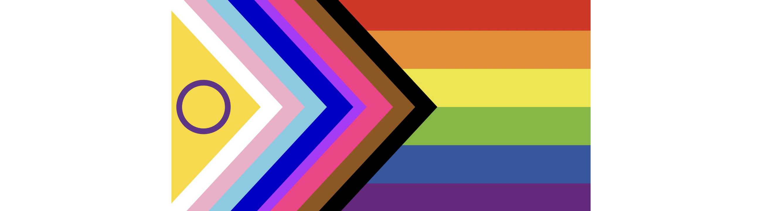 Bi+ Inklusive Progress Pride Flag