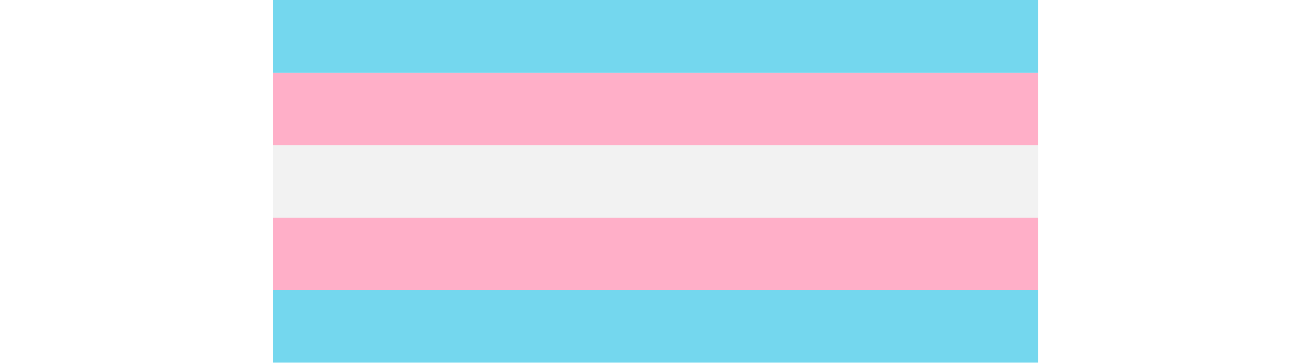 Trans Pride Flag
