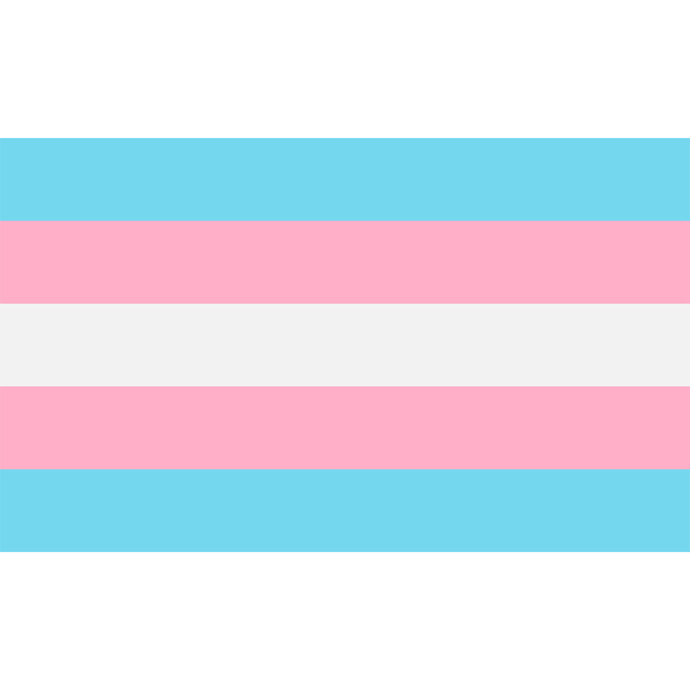 Trans Pride Merch