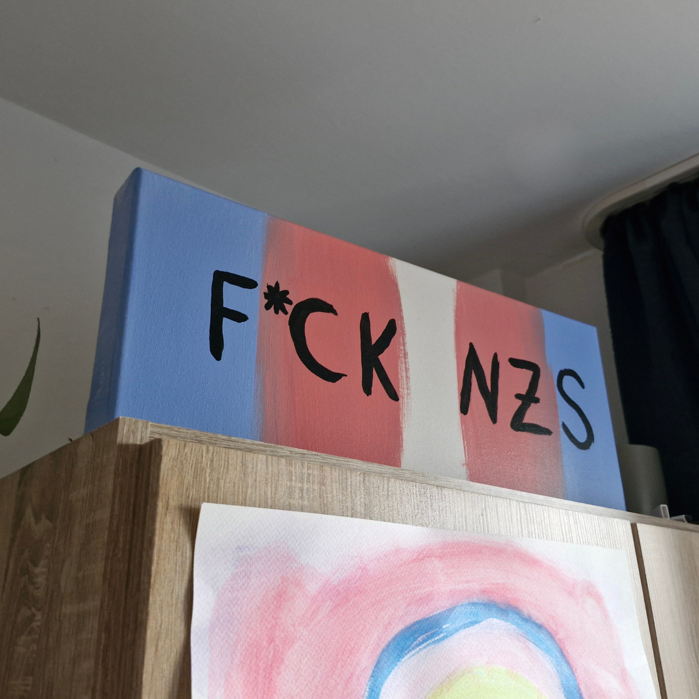 F*CK NZS auf Trans Flagge - Fine Art Unikat