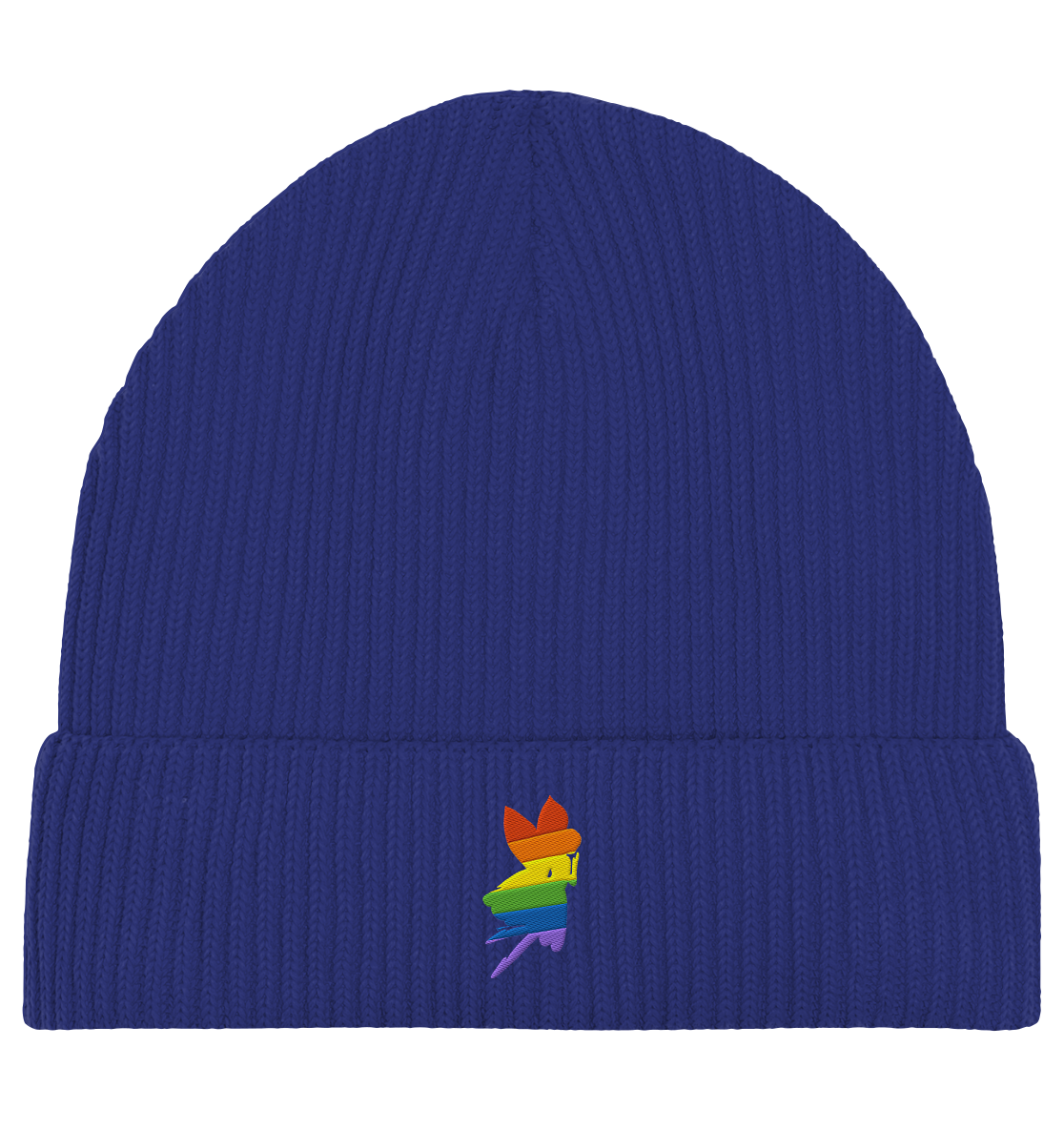 Regenbogen Fee Fisherman Beanie Stick