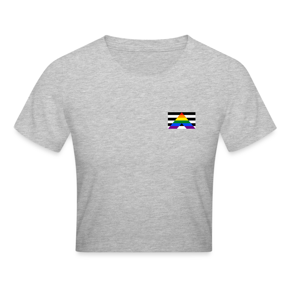 Straight Ally Pride Flag Cropped T-Shirt - Grau meliert