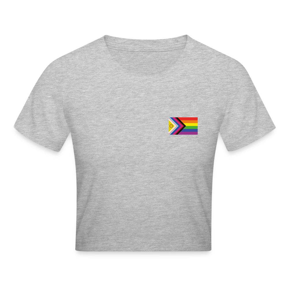 Bi+ Inklusive Progress Pride Flag Cropped T-Shirt - Grau meliert